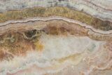 Polished Banded Travertine Slab - New Mexico #324320-1